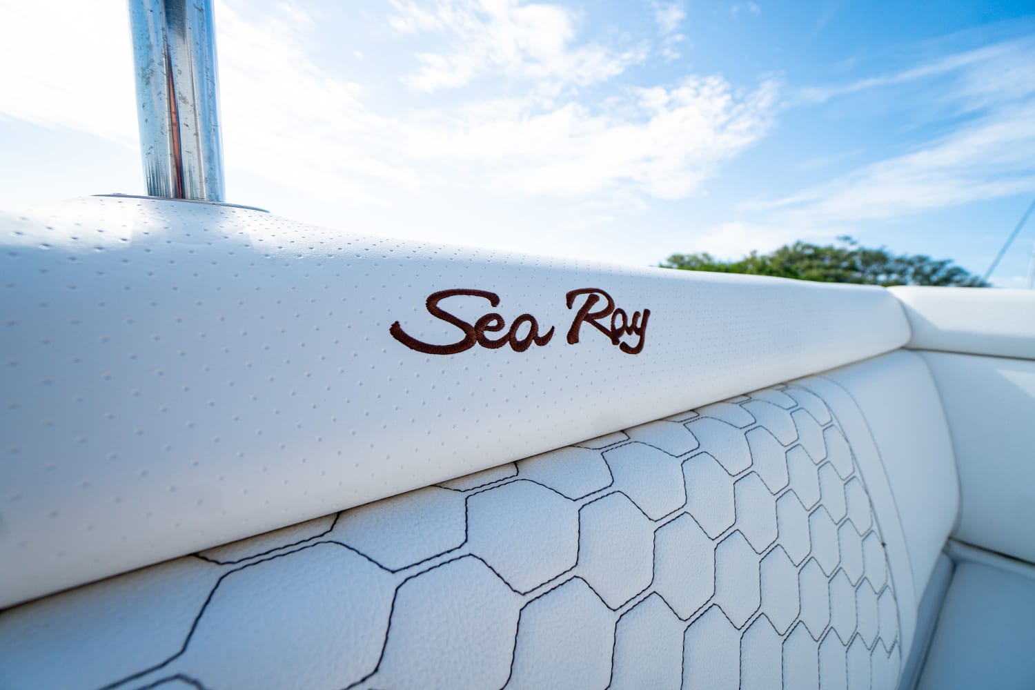 2019 Sea Ray
                                                             SDX 270 Outboard Image Thumbnail #17