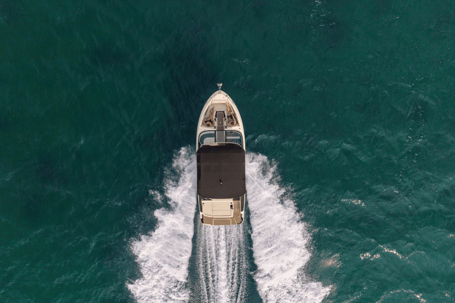 2026 Sea Ray SLX 280 Image Thumbnail #42