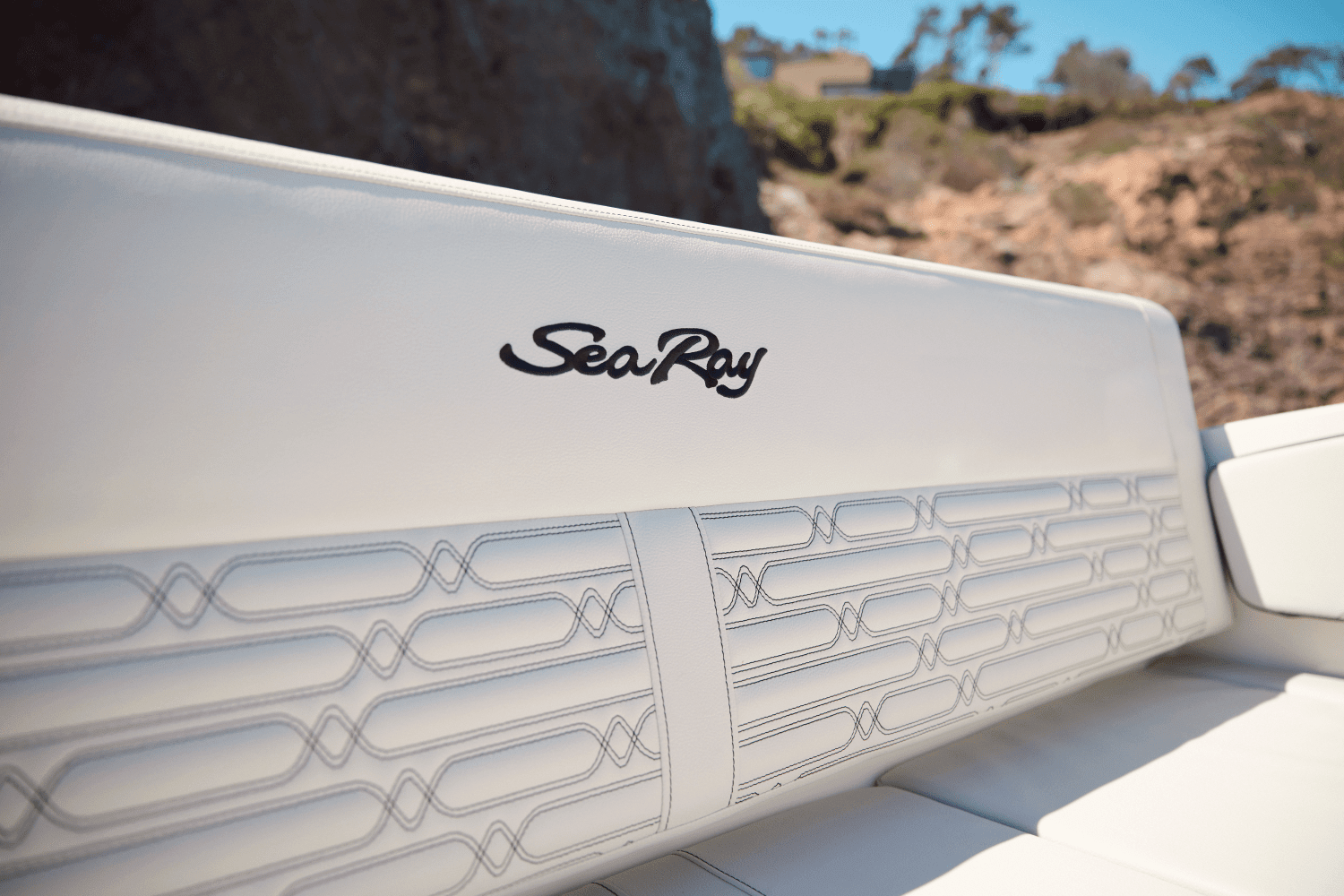 2025 Sea Ray SPX 210 Image Thumbnail #14
