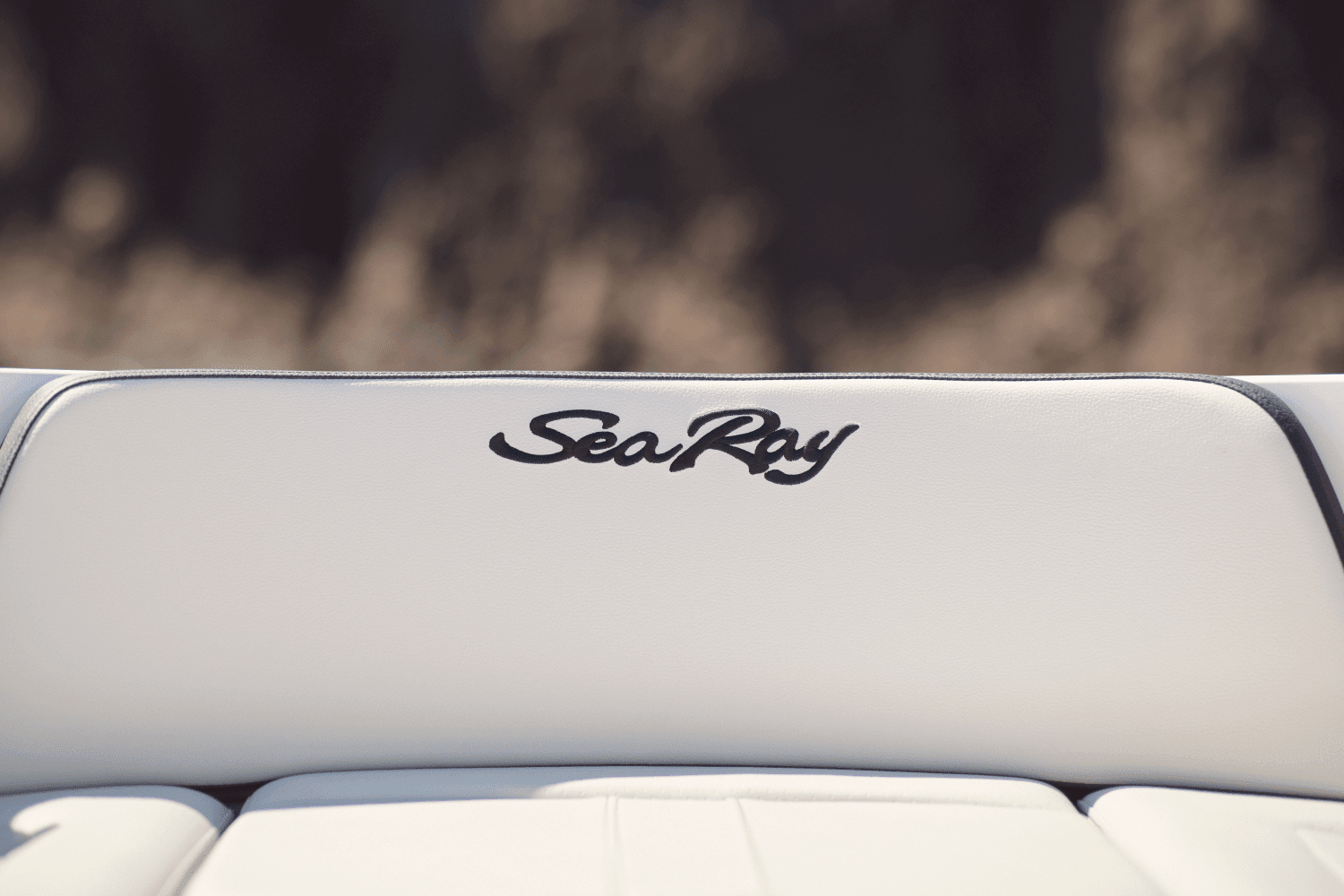 2026 Sea Ray SPX 210 Outboard Image Thumbnail #24