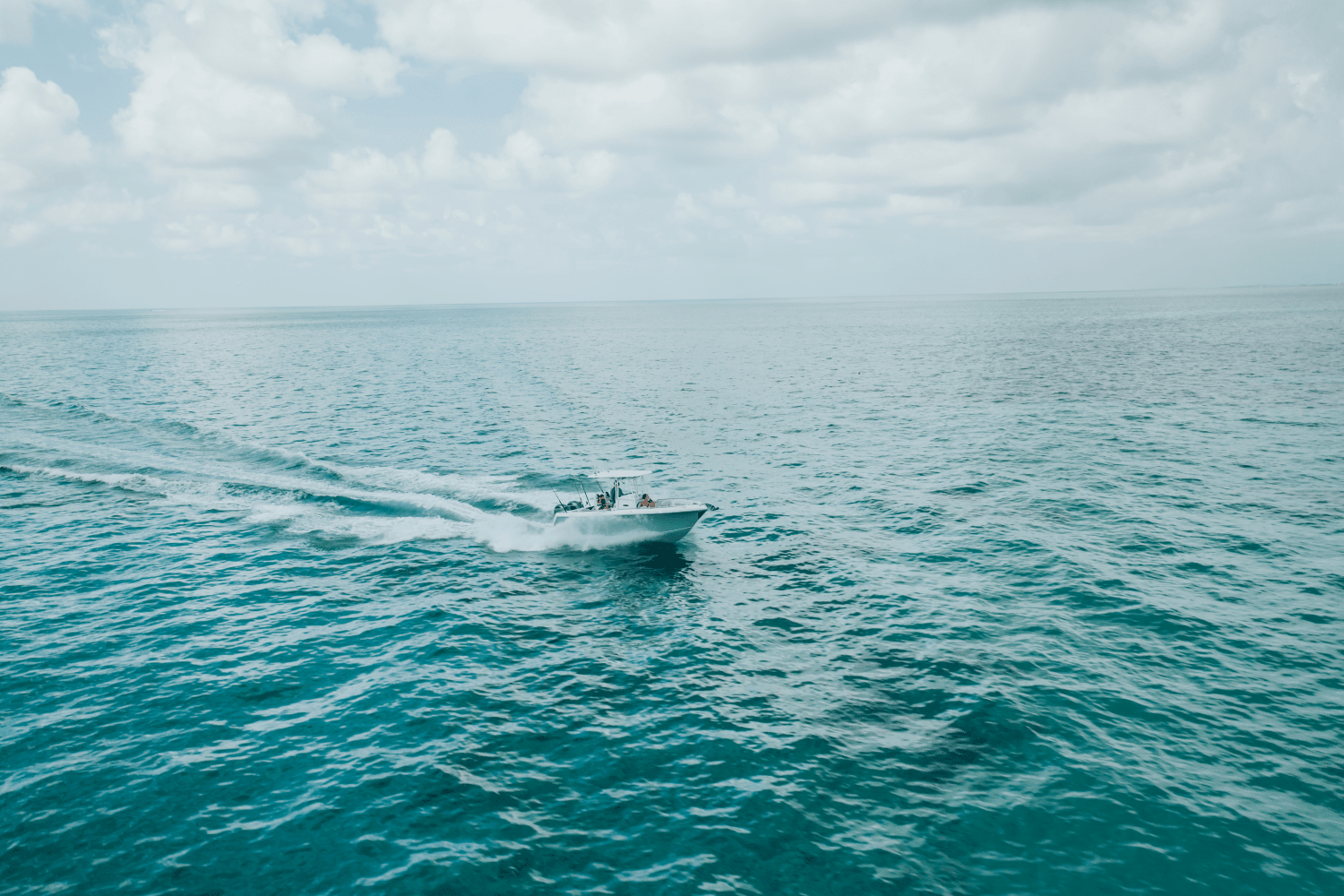 2025 Sailfish 242 CC Image Thumbnail #47