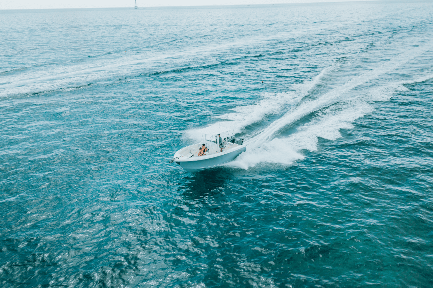 2025 Sailfish 242 CC Image Thumbnail #50