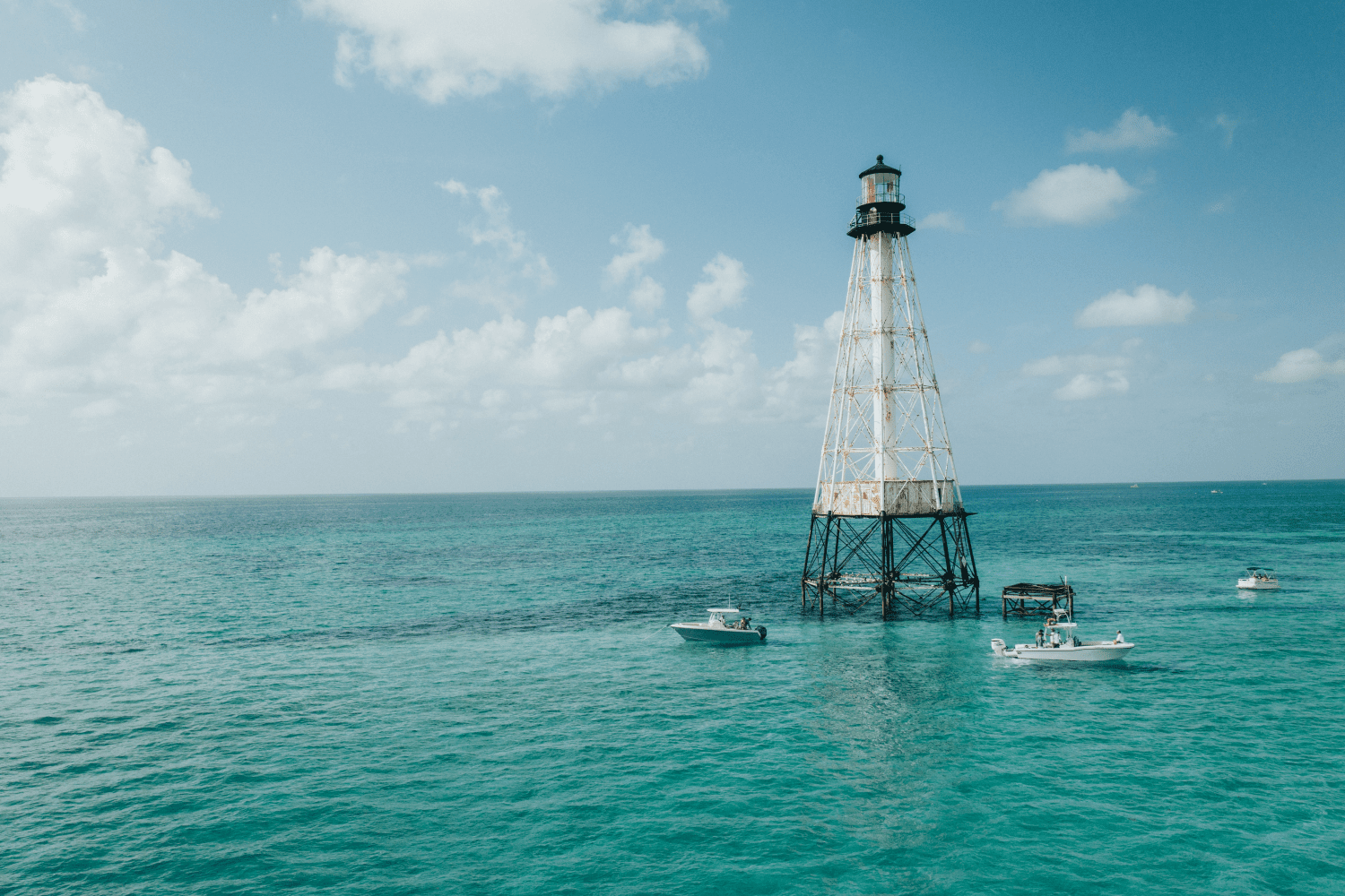2025 Sailfish 242 CC Image Thumbnail #29