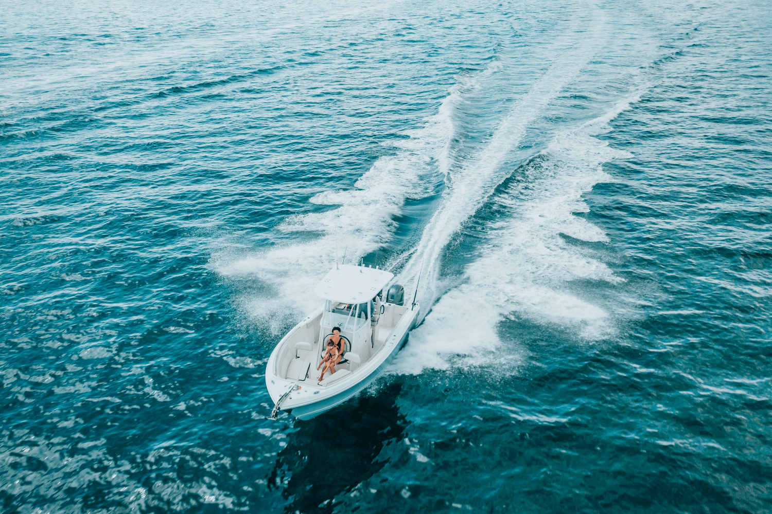 2025 Sailfish 242 CC Image Thumbnail #2