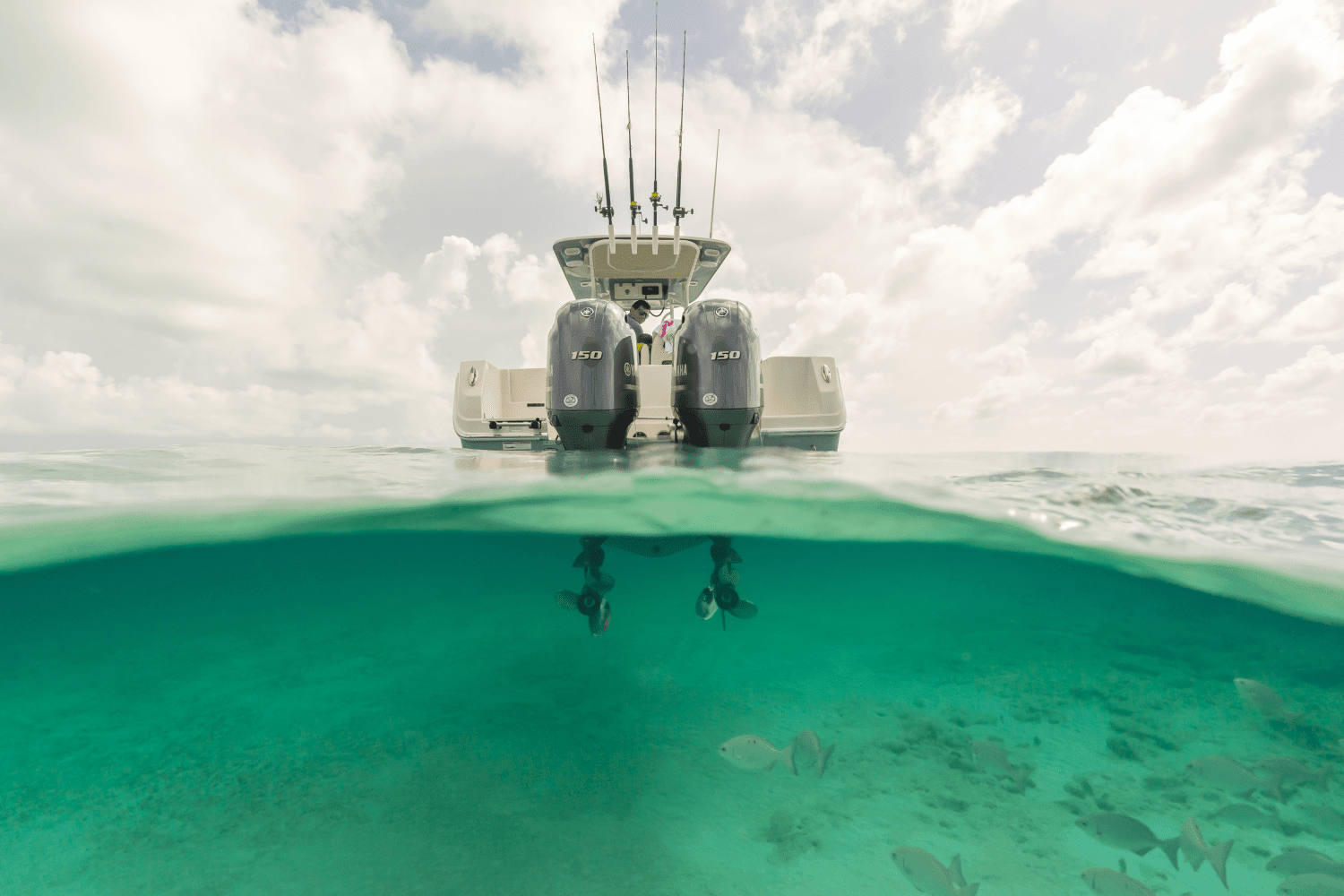 2025 Sailfish 242 CC Image Thumbnail #54