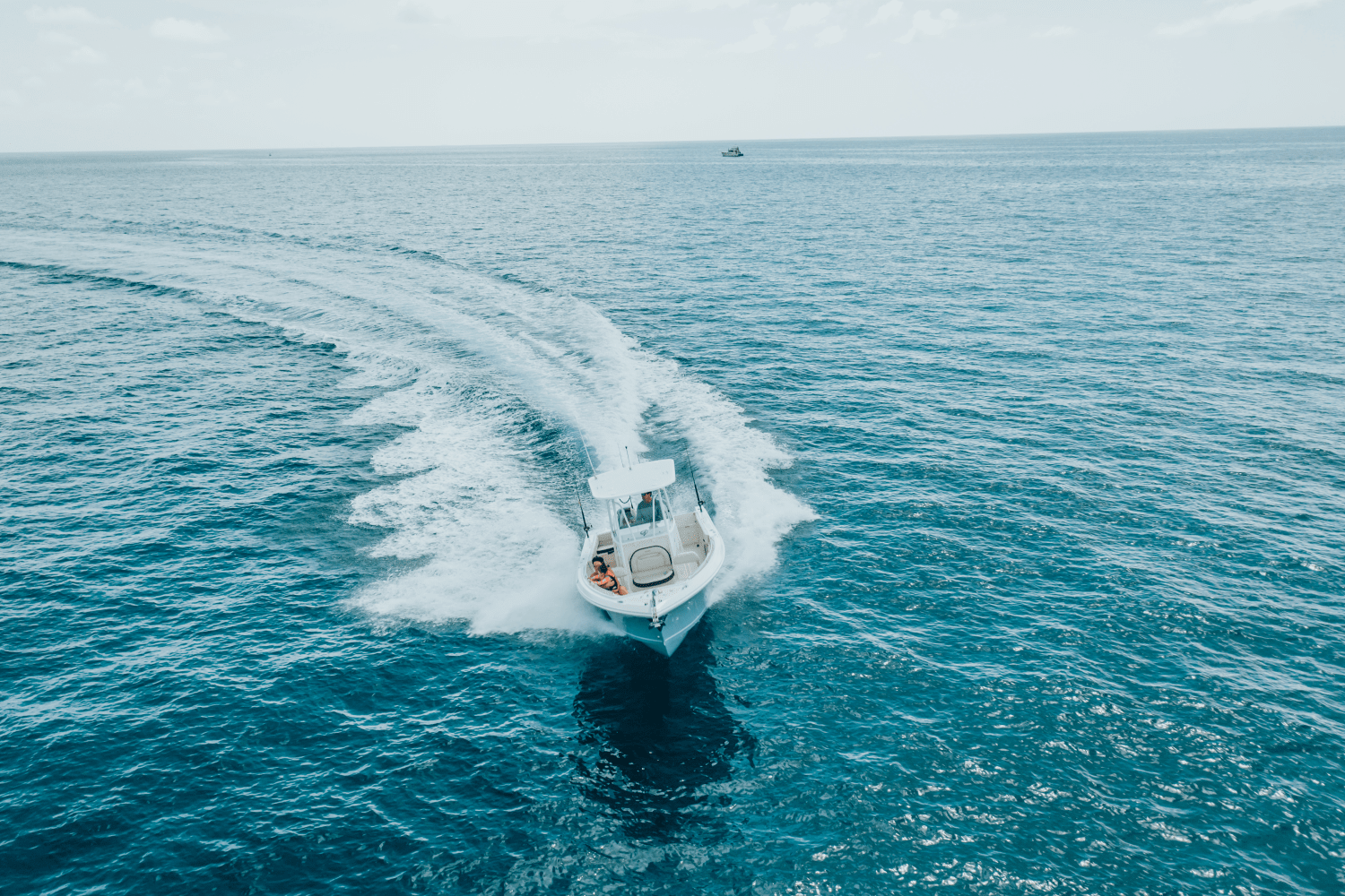 2025 Sailfish 242 CC Image Thumbnail #48