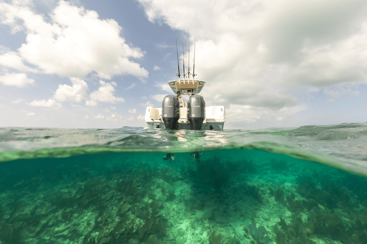 2025 Sailfish 242 CC Image Thumbnail #55