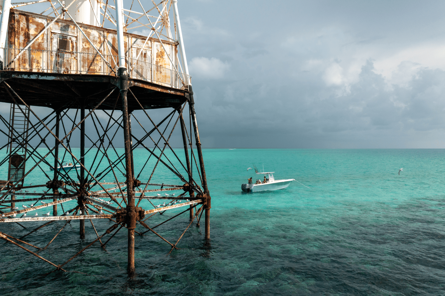 2025 Sailfish 242 CC Image Thumbnail #40