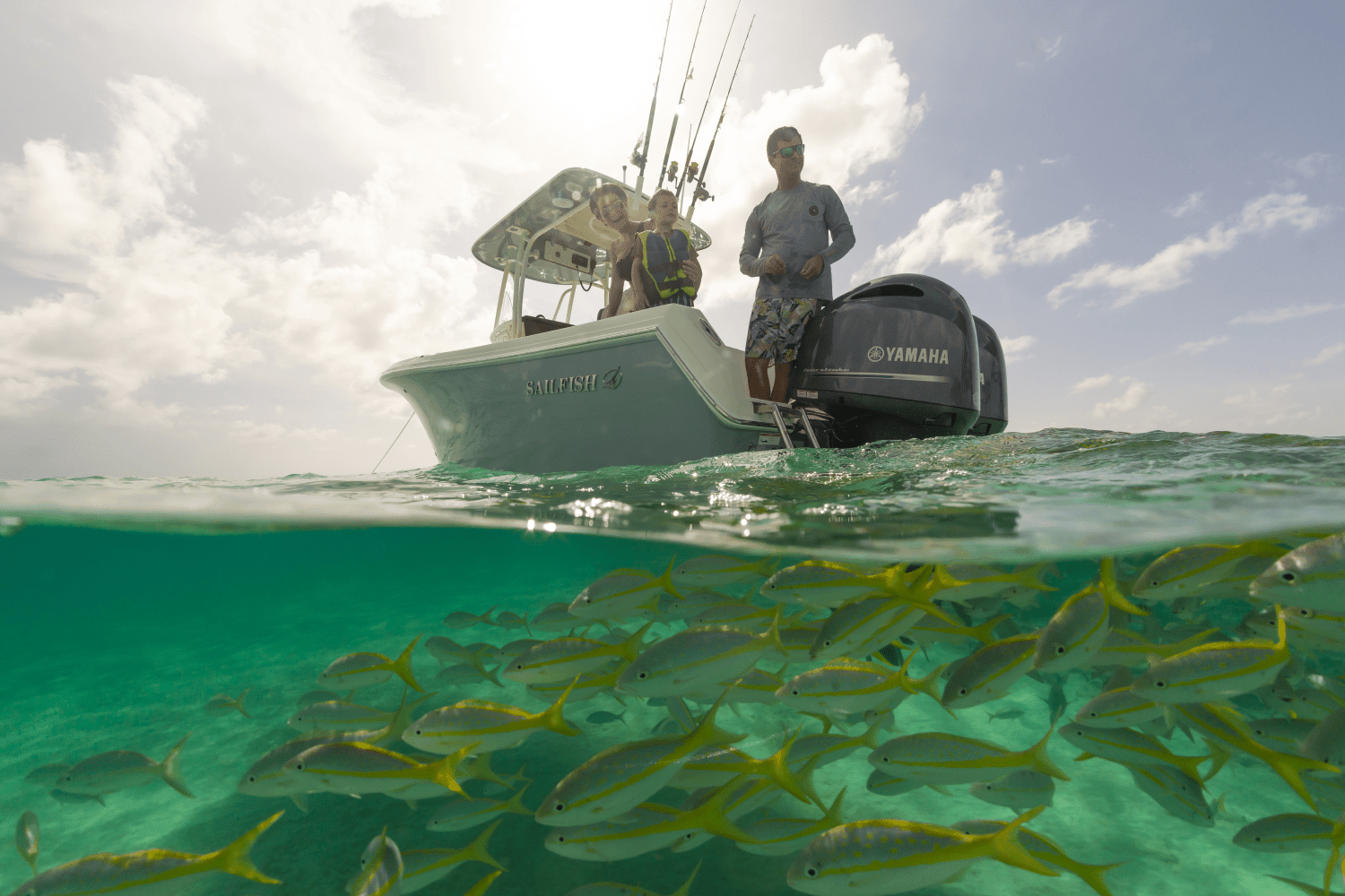 2025 Sailfish 242 CC Image Thumbnail #9