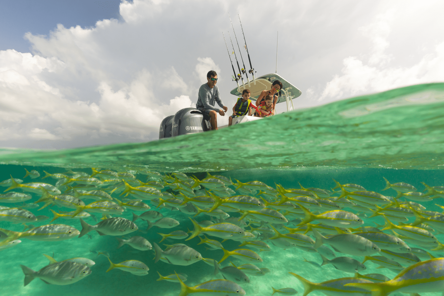 2025 Sailfish 242 CC Image Thumbnail #25