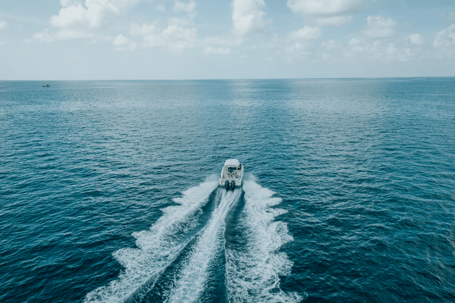 2025 Sailfish 242 CC Image Thumbnail #46