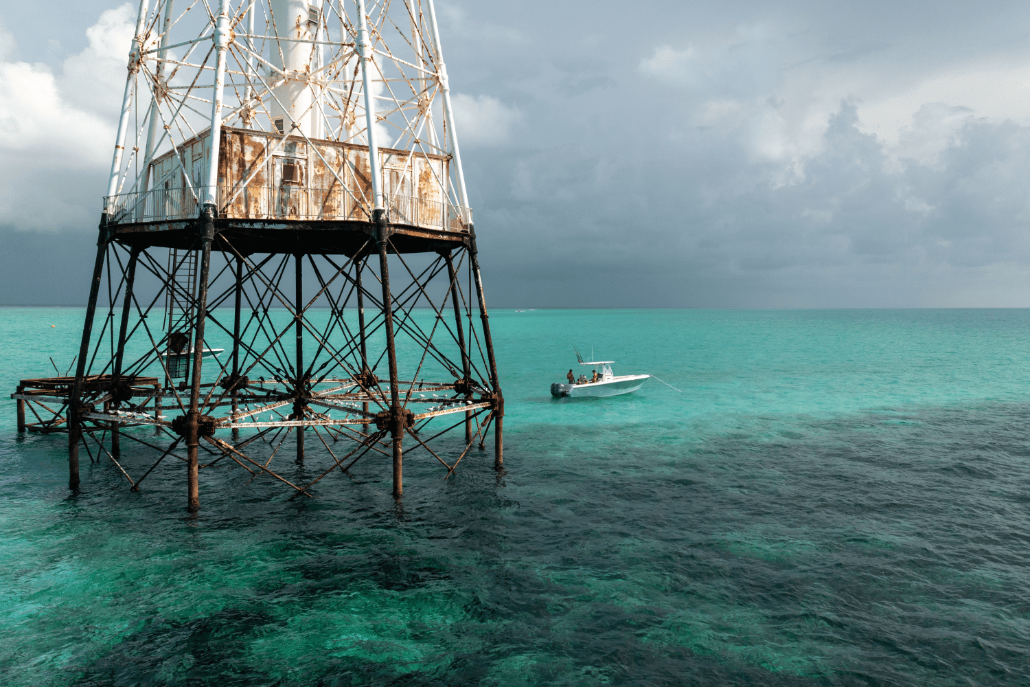 2025 Sailfish 242 CC Image Thumbnail #41