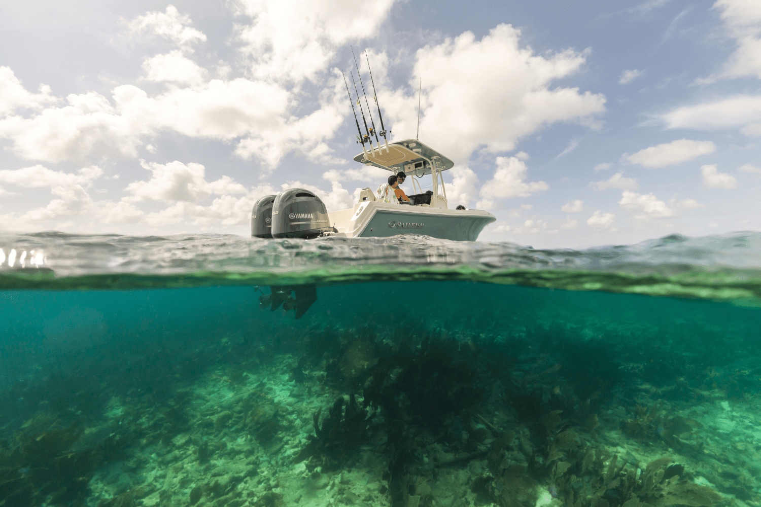 2025 Sailfish 242 CC Image Thumbnail #56