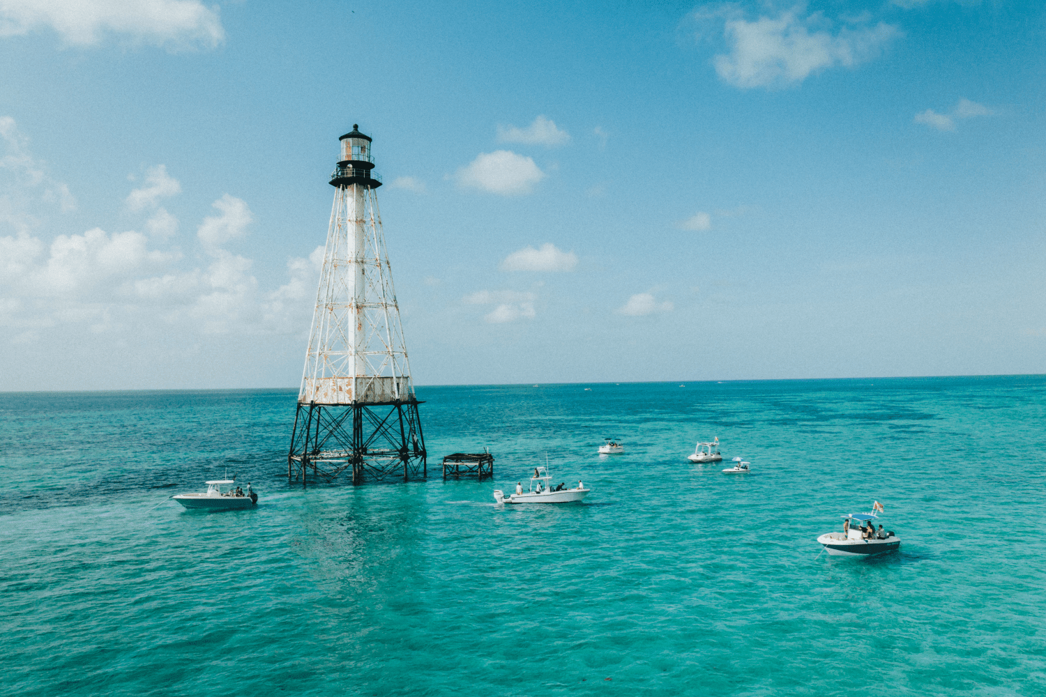 2026 Sailfish 242 CC Image Thumbnail #32