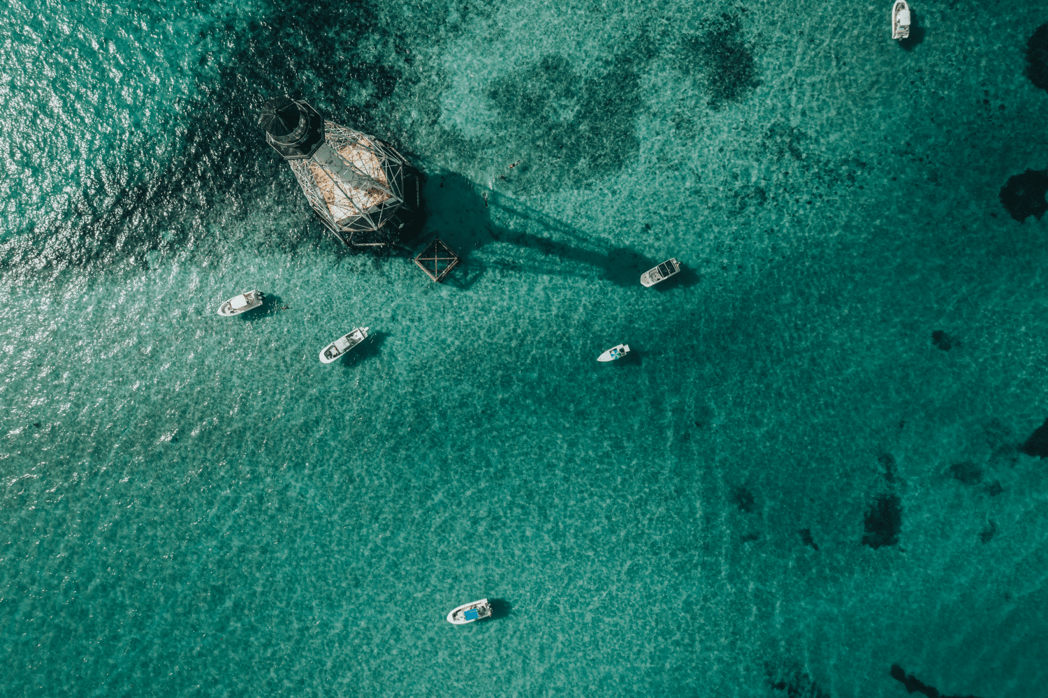 2026 Sailfish 242 CC Image Thumbnail #45