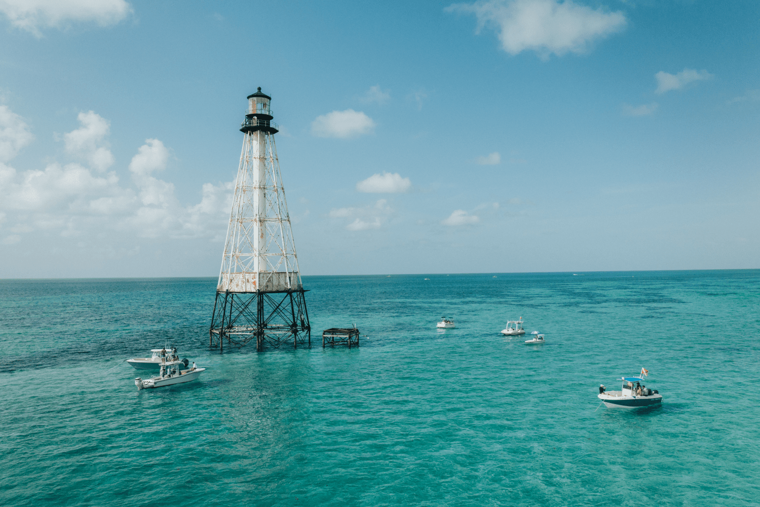 2026 Sailfish 242 CC Image Thumbnail #26