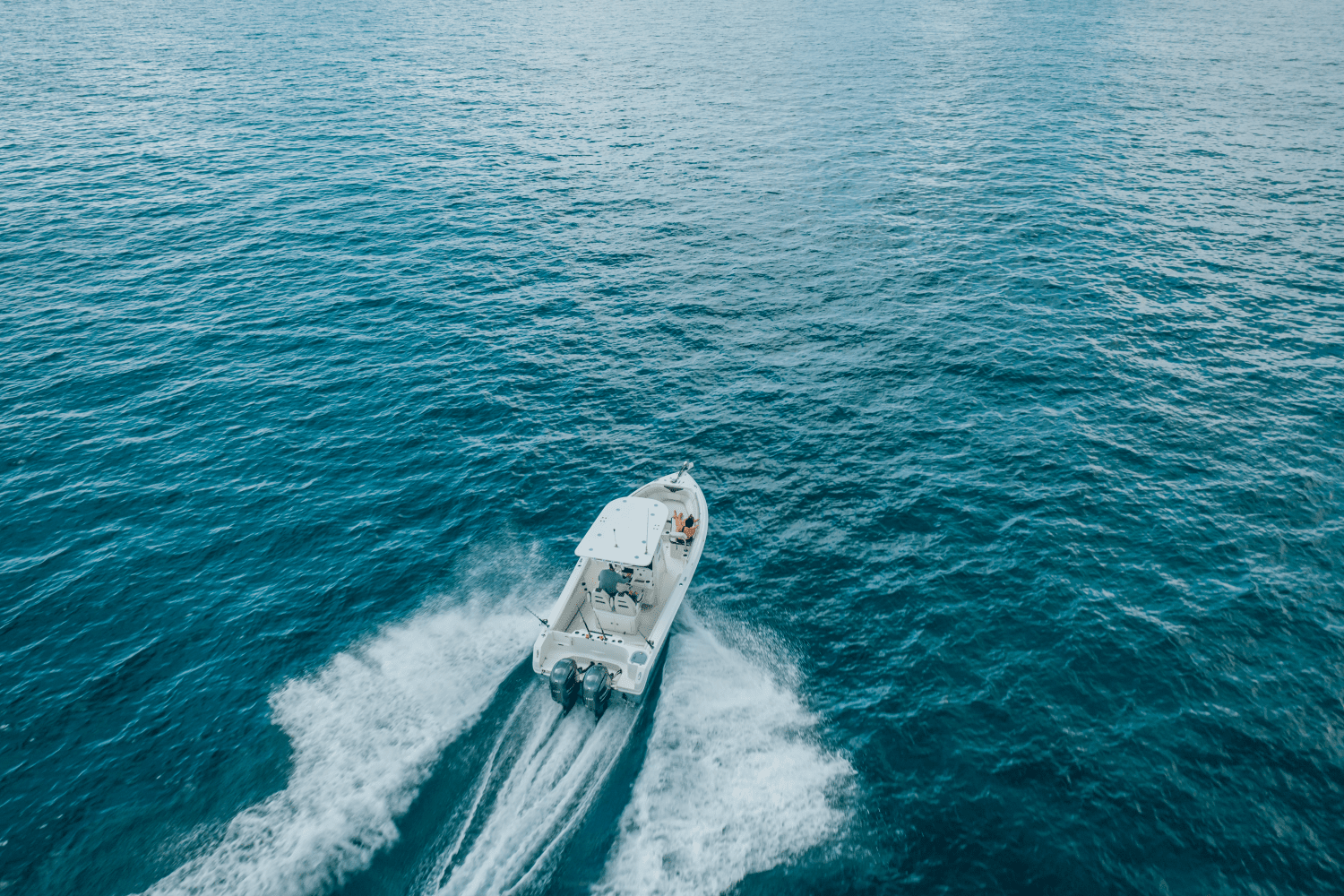 2026 Sailfish 242 CC Image Thumbnail #4