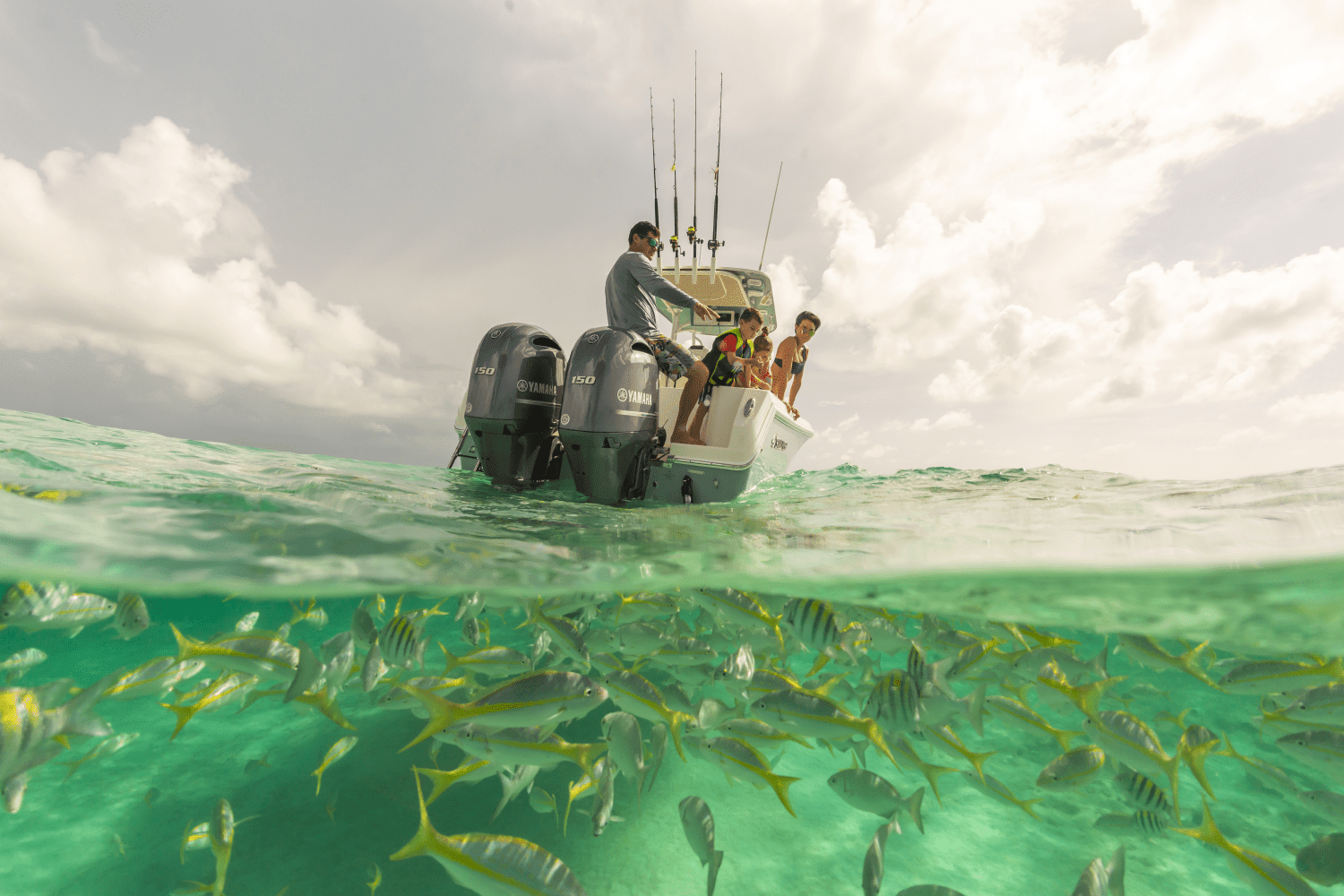 2026 Sailfish 242 CC Image Thumbnail #6