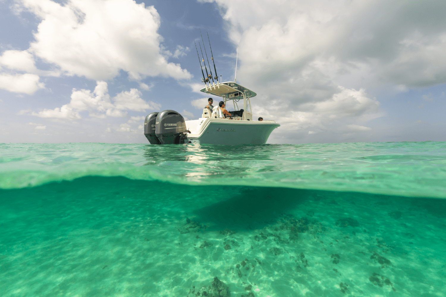 2026 Sailfish 242 CC Image Thumbnail #53