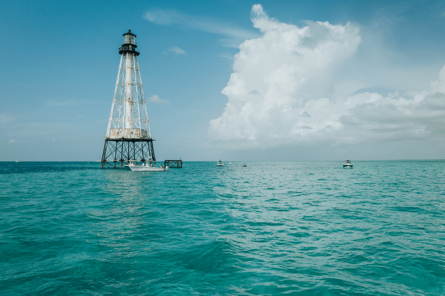 2026 Sailfish 242 CC Image Thumbnail #42