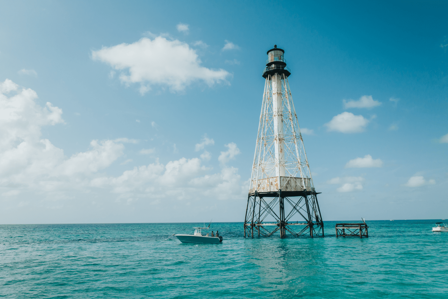 2026 Sailfish 242 CC Image Thumbnail #33