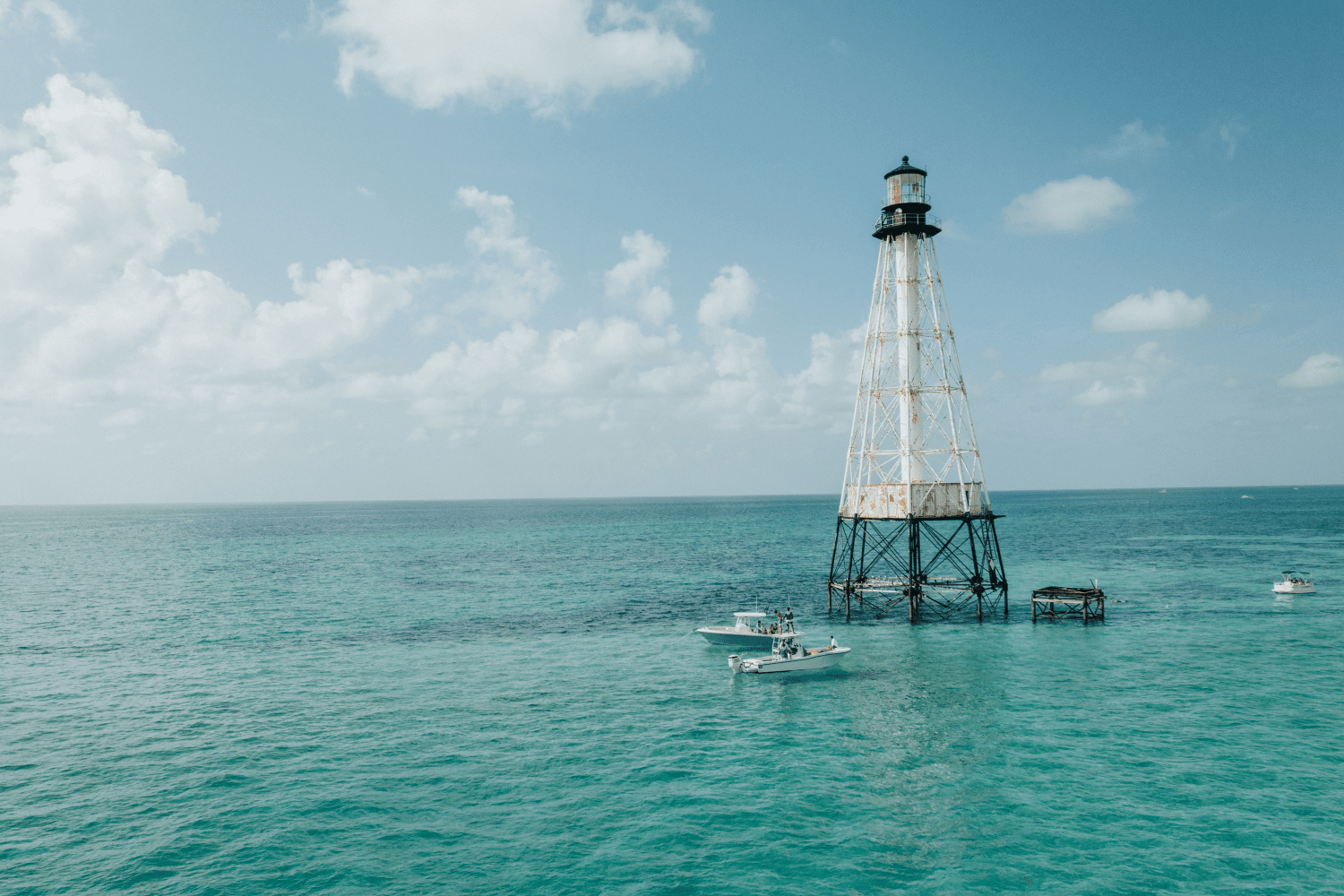 2026 Sailfish 242 CC Image Thumbnail #30