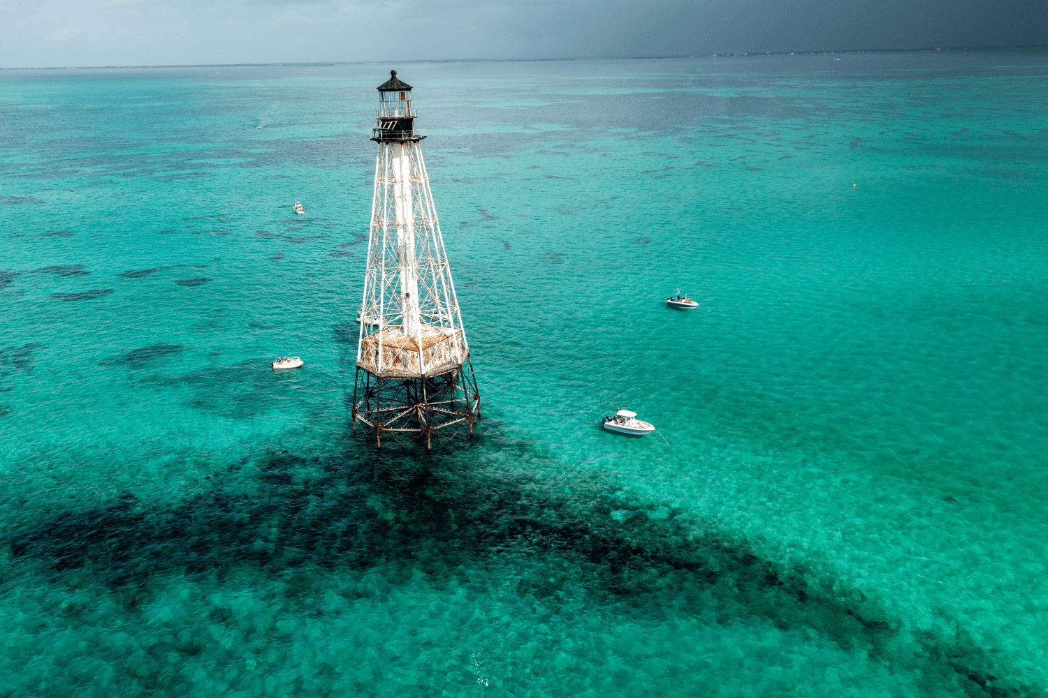 2026 Sailfish 242 CC Image Thumbnail #36