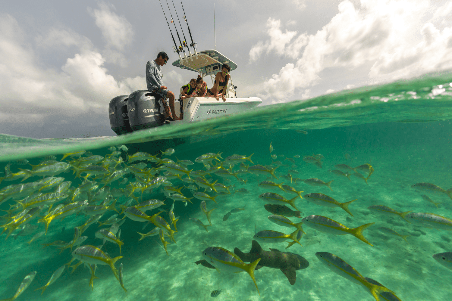 2026 Sailfish 242 CC Image Thumbnail #24