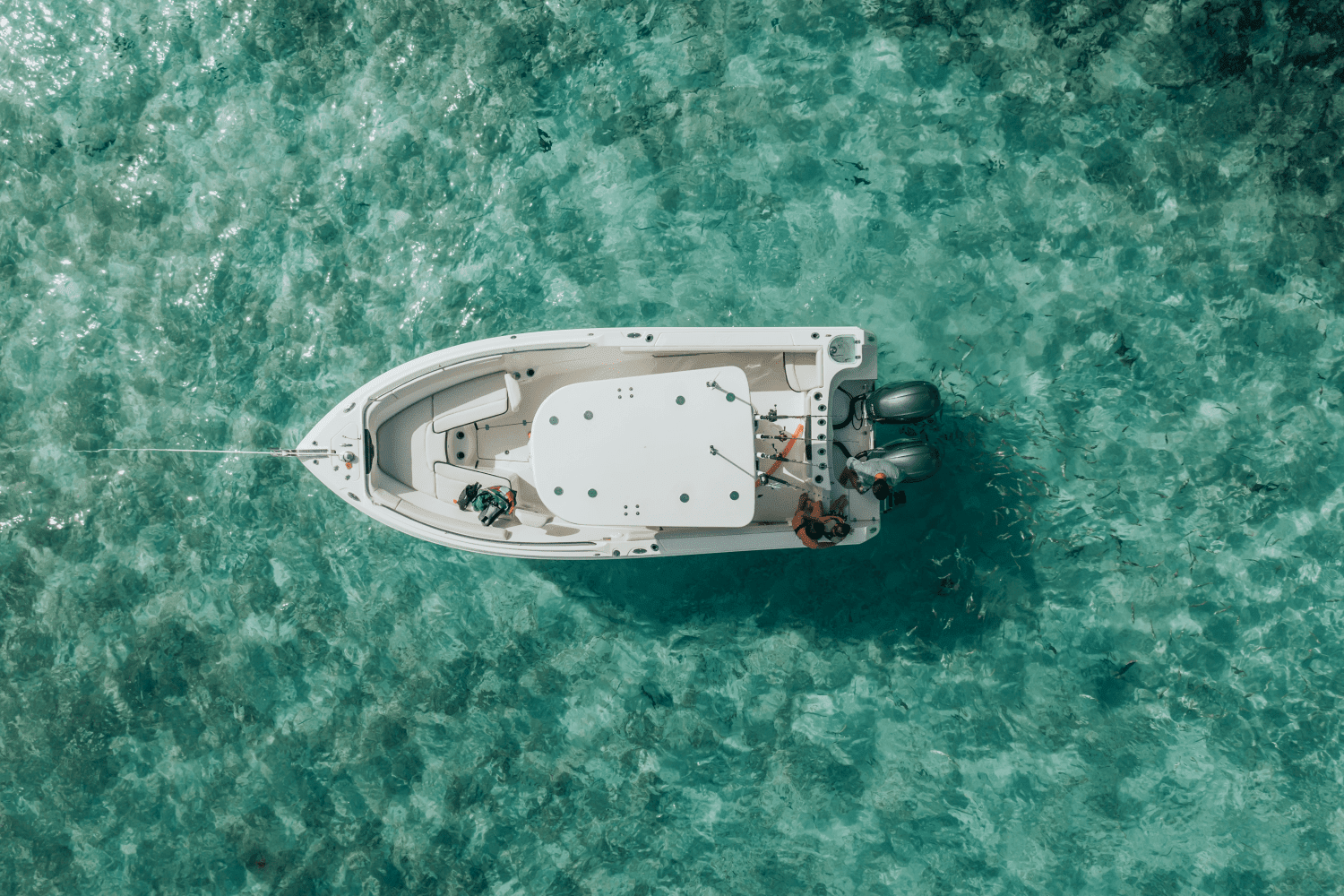 2026 Sailfish 242 CC Image Thumbnail #44