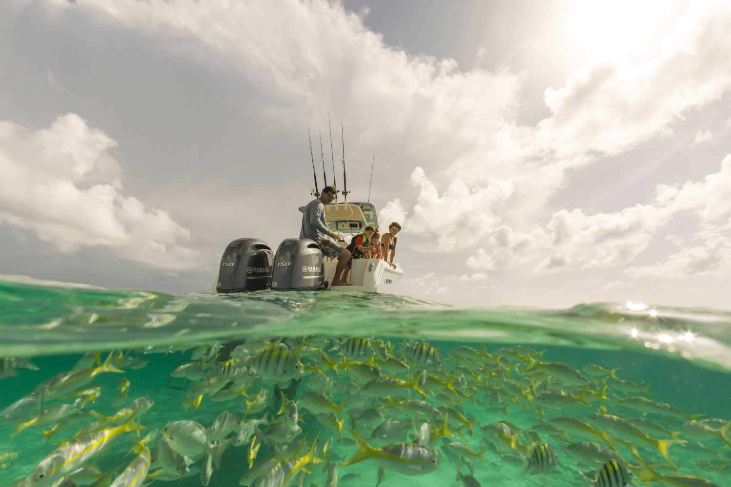 2026 Sailfish 242 CC Image Thumbnail #23