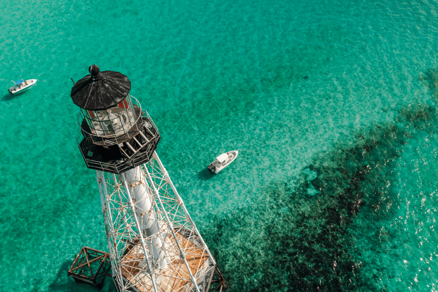 2026 Sailfish 242 CC Image Thumbnail #39