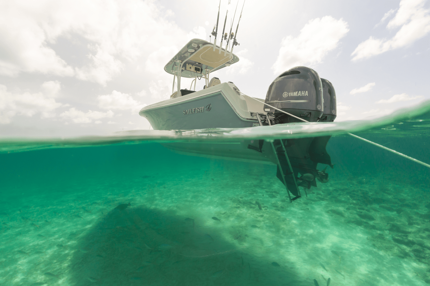 2025 Sailfish 242 CC Image Thumbnail #14