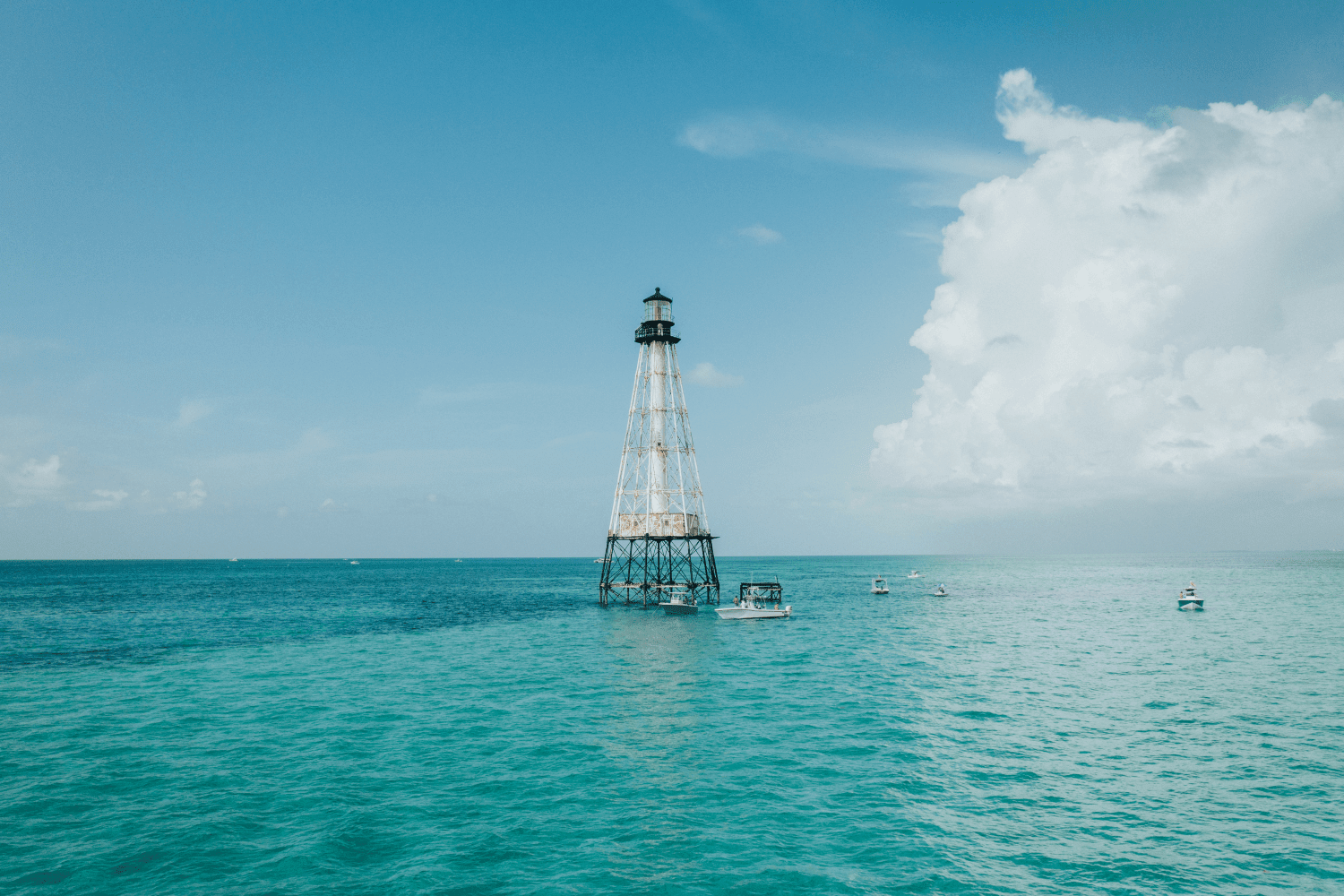 2025 Sailfish 242 CC Image Thumbnail #38