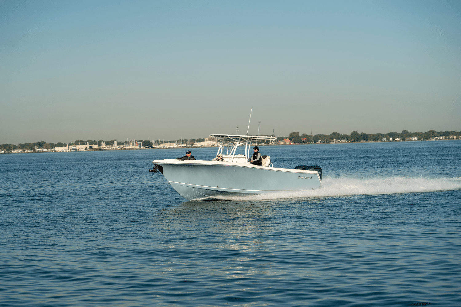 2025 Sailfish 290 CC Image Thumbnail #85