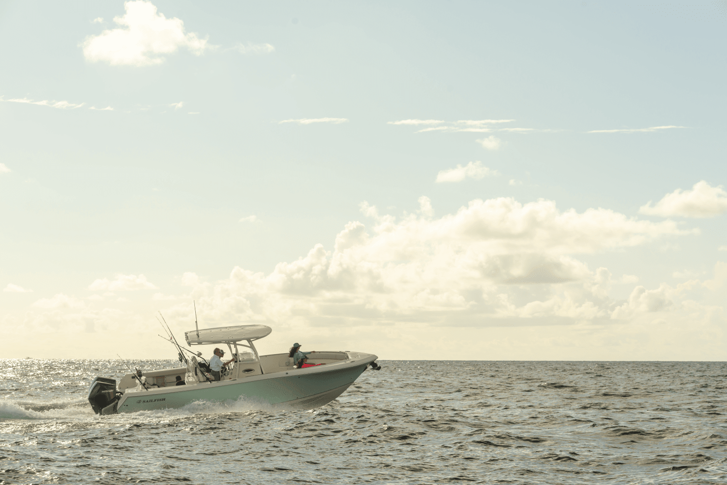 2025 Sailfish 290 CC Image Thumbnail #24