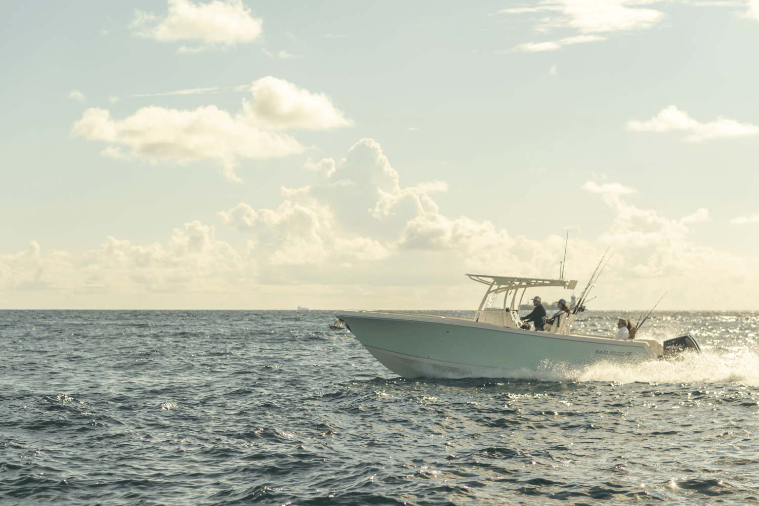 2025 Sailfish 290 CC Image Thumbnail #19