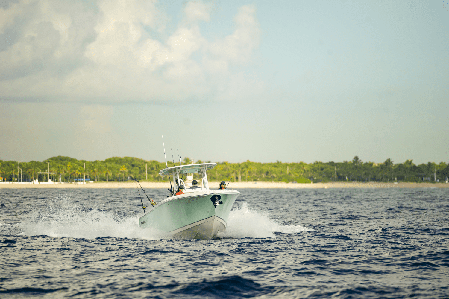 2025 Sailfish 290 CC Image Thumbnail #26