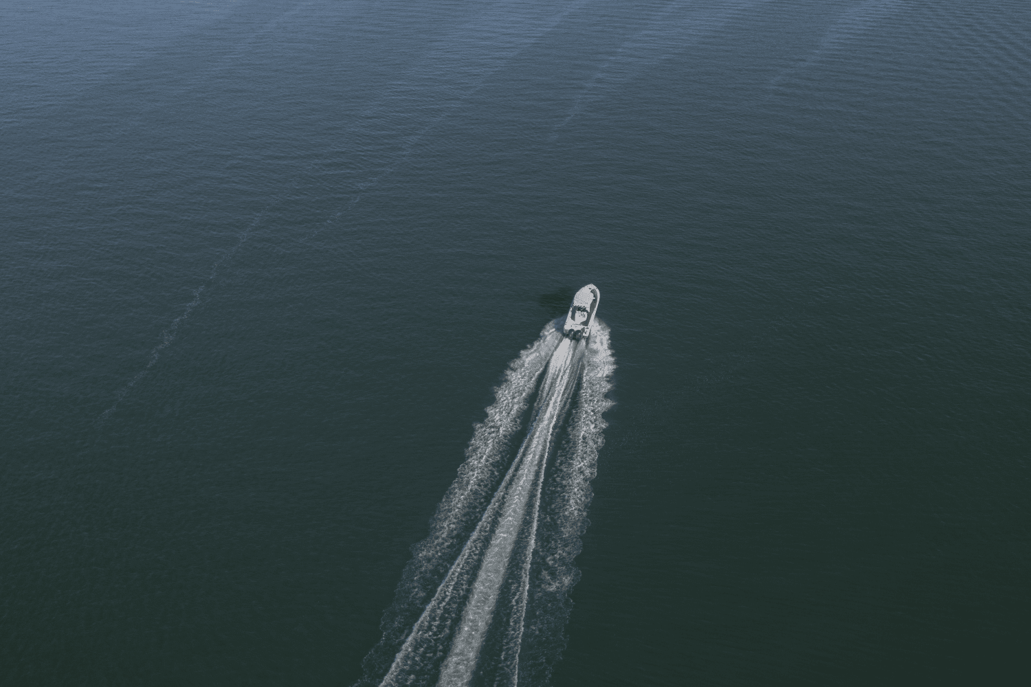 2025 Sailfish 290 CC Image Thumbnail #50