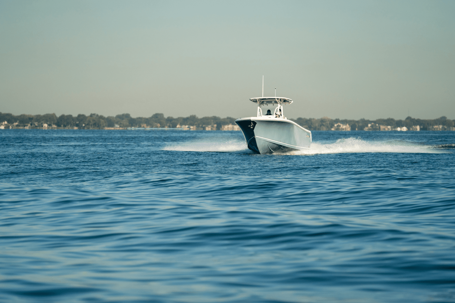 2025 Sailfish 290 CC Image Thumbnail #90