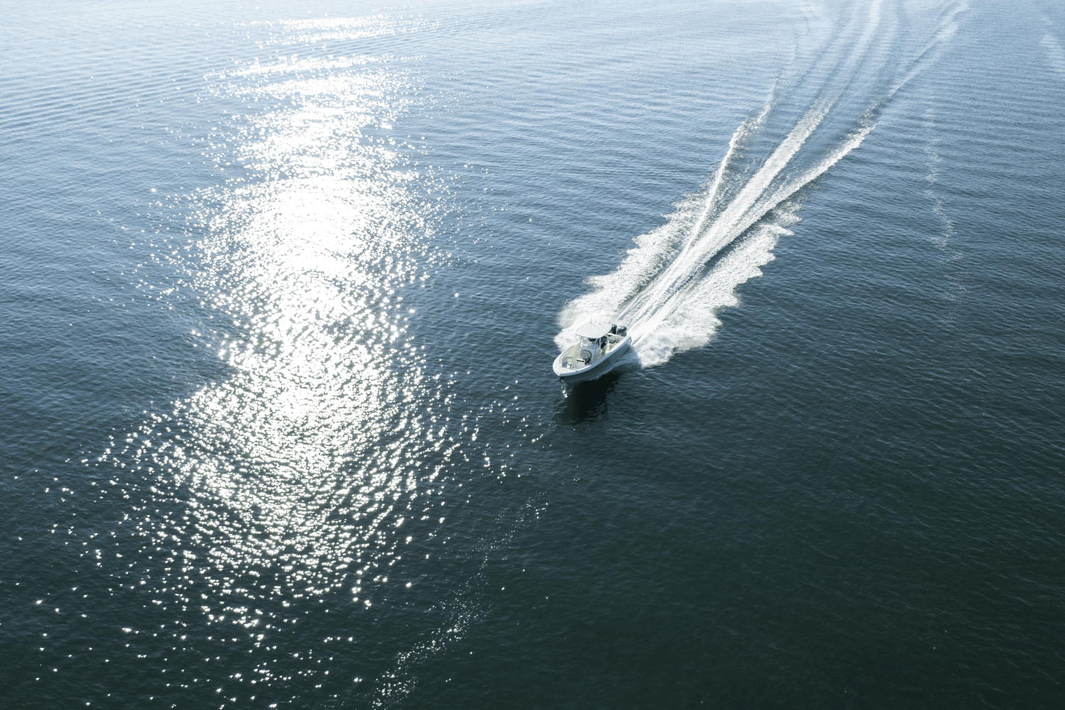 2025 Sailfish 290 CC Image Thumbnail #48
