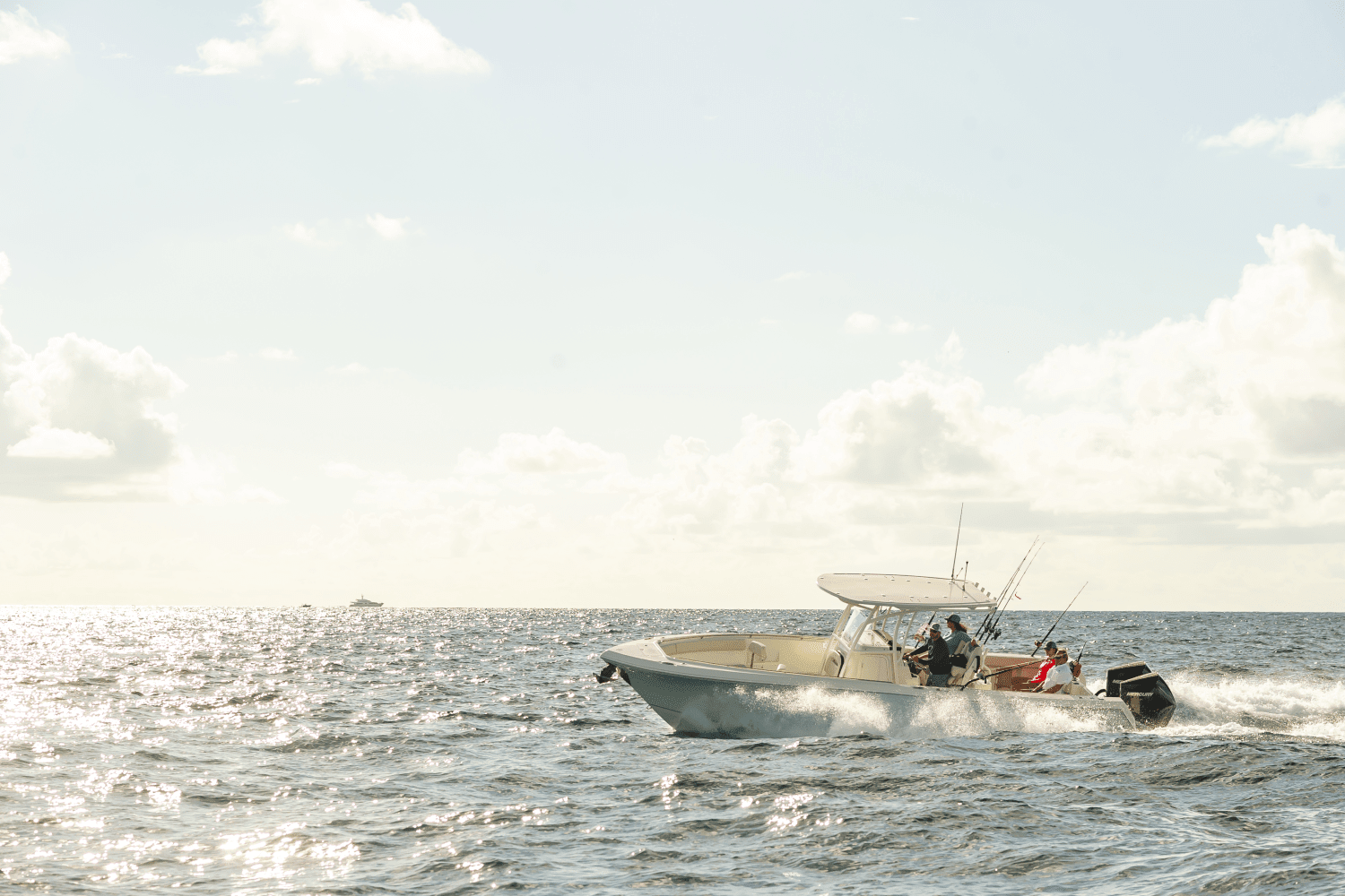 2025 Sailfish 290 CC Image Thumbnail #27