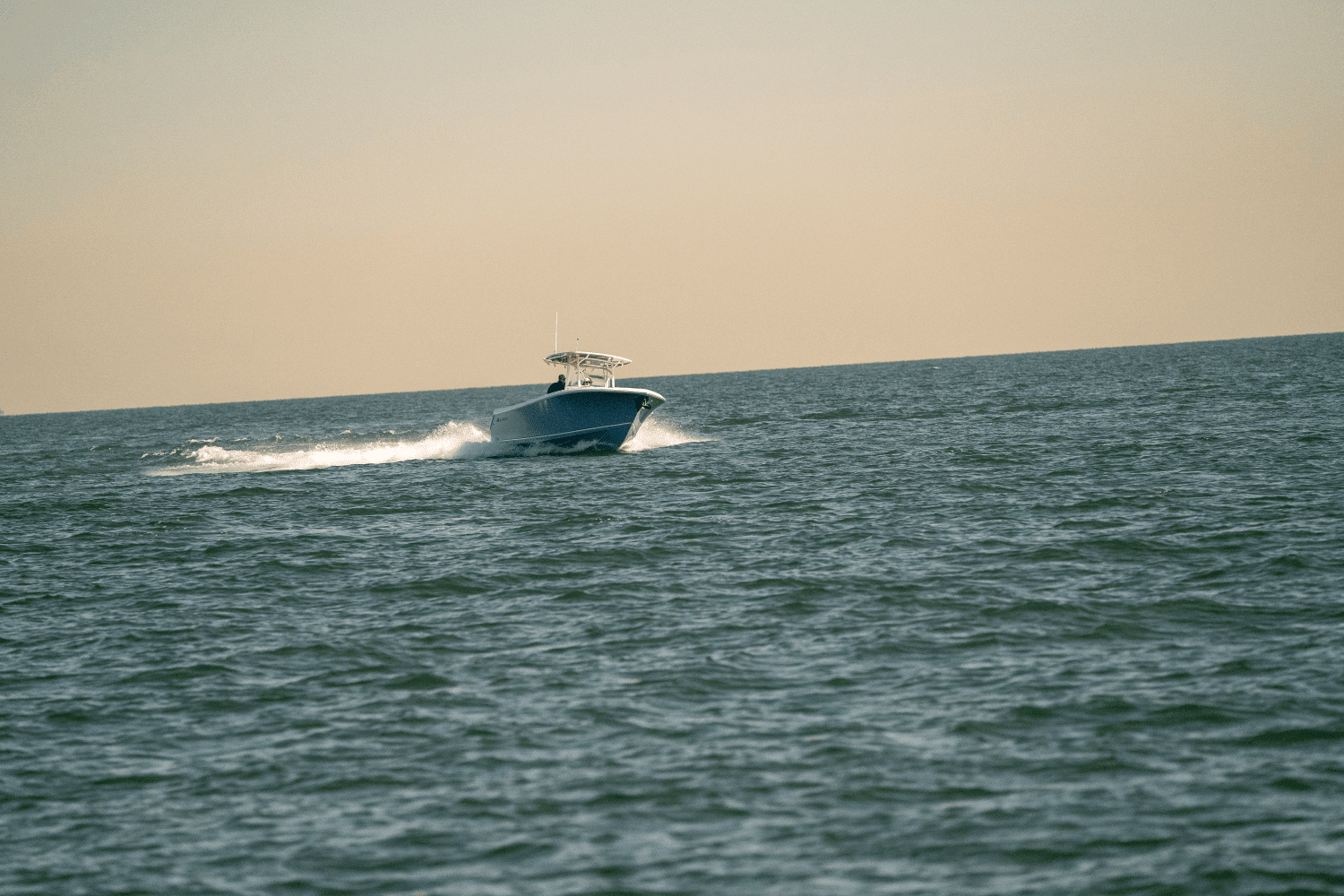 2025 Sailfish 290 CC Image Thumbnail #95