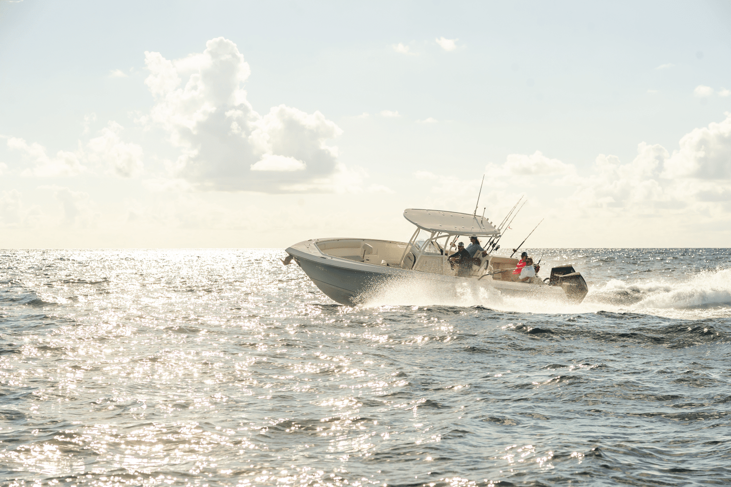 2025 Sailfish 290 CC Image Thumbnail #28