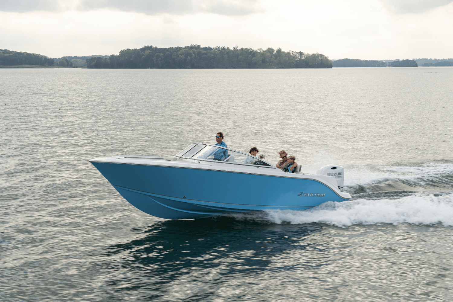 2025 Sailfish 226 DC Image Thumbnail #1