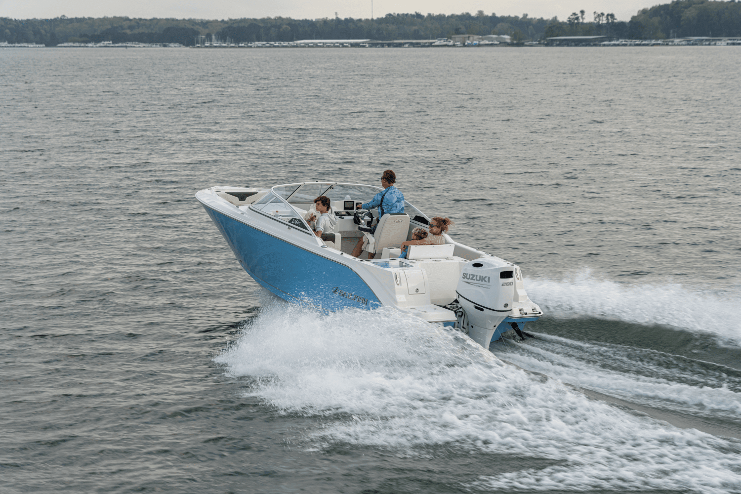 2025 Sailfish 226 DC Image Thumbnail #3