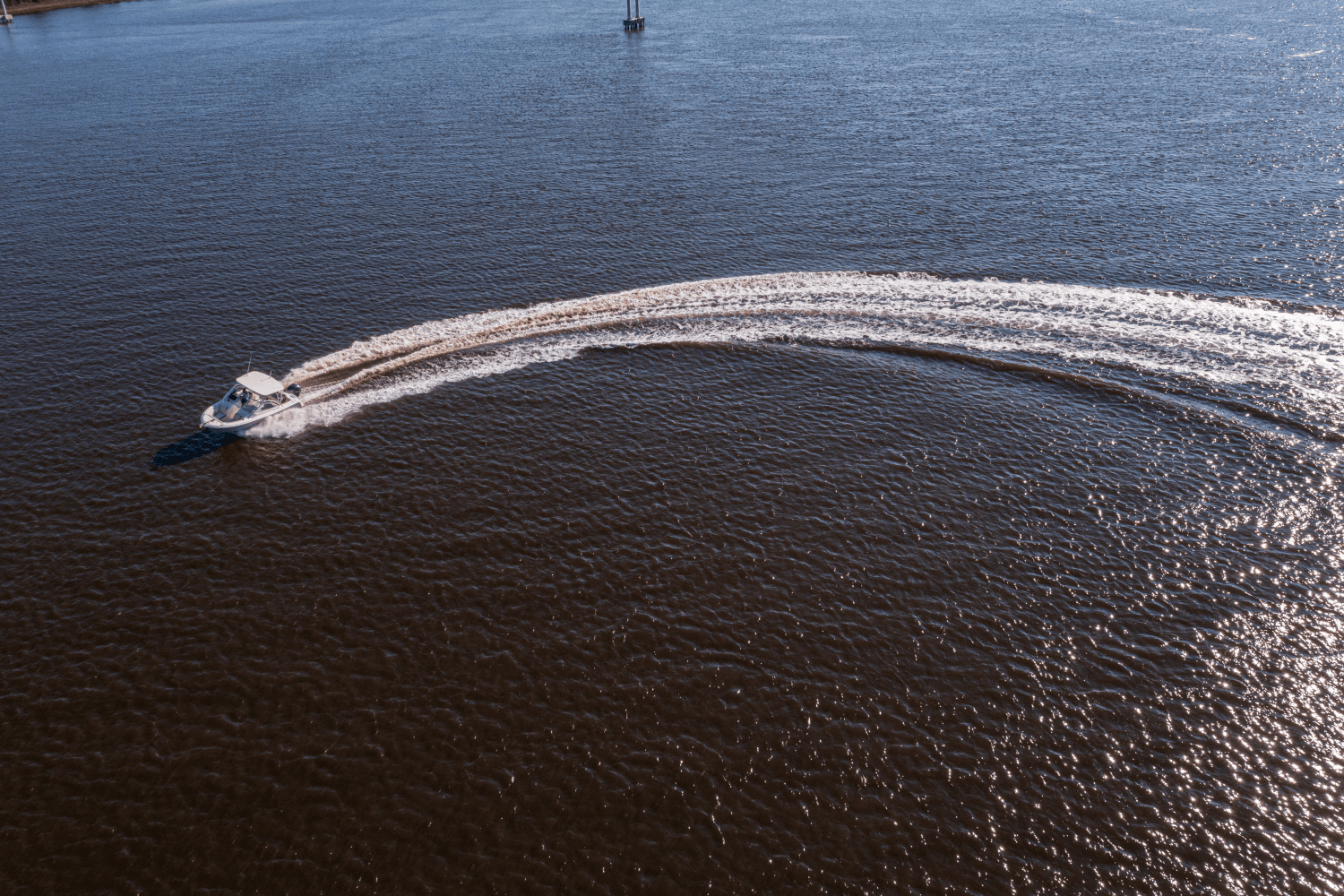 2026 Sailfish 245 DC Image Thumbnail #24