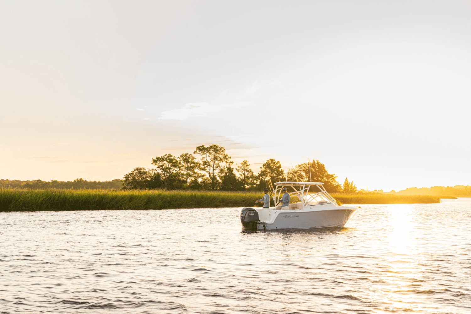 2026 Sailfish 245 DC Image Thumbnail #36