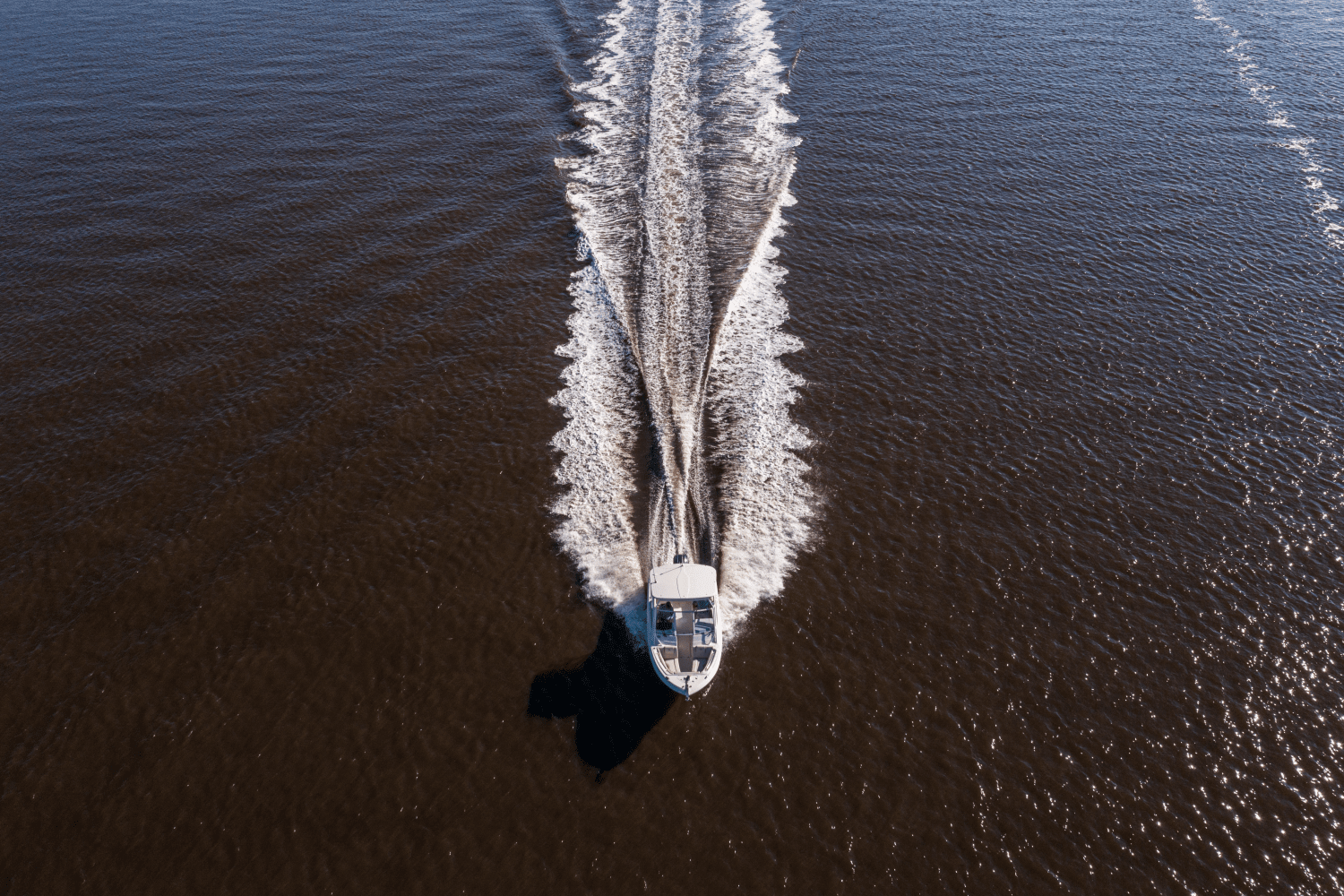 2026 Sailfish 245 DC Image Thumbnail #33