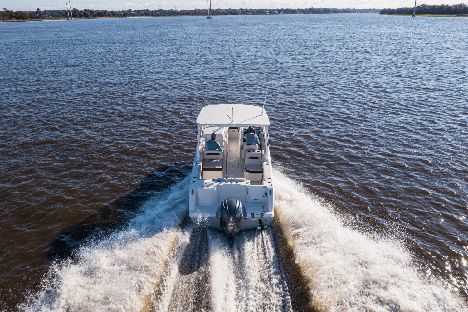 2026 Sailfish 245 DC Image Thumbnail #19