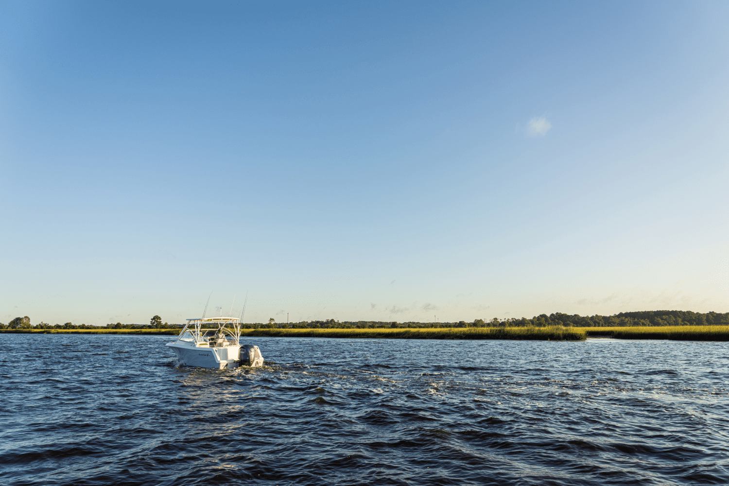 2026 Sailfish 245 DC Image Thumbnail #54